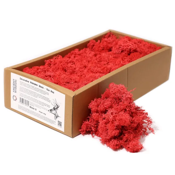 Kvalitní Dekorativní Mech - Ohnivá Červená - 635g Box