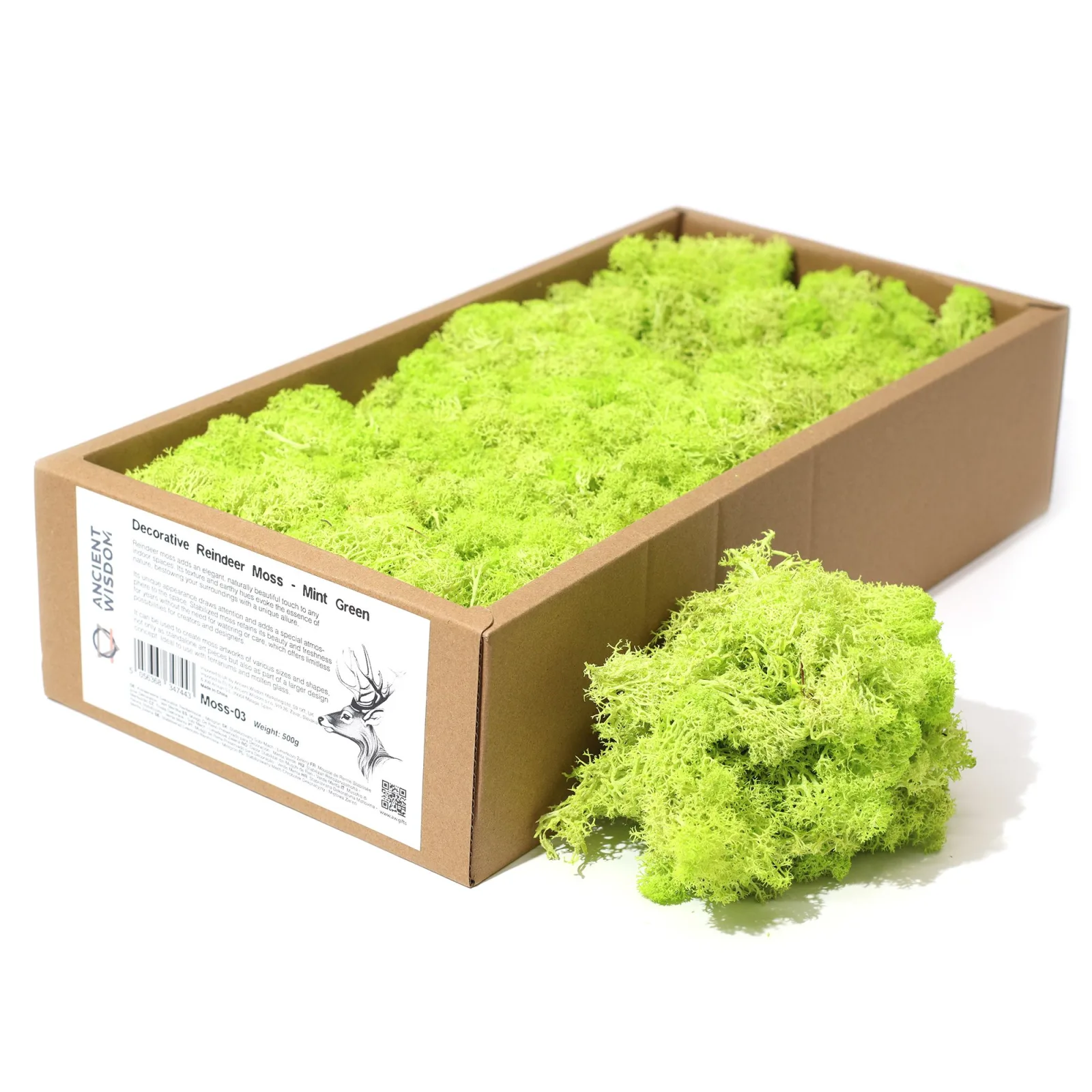Kvalitní Dekorativní Mech - Mátová Zelená  - 635g Box