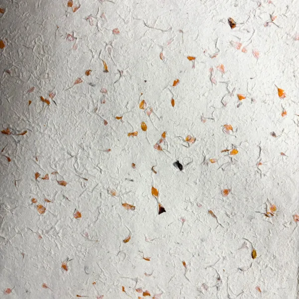 Lokta Kraftový / Balící Papír (51x76cm) - Měsíček