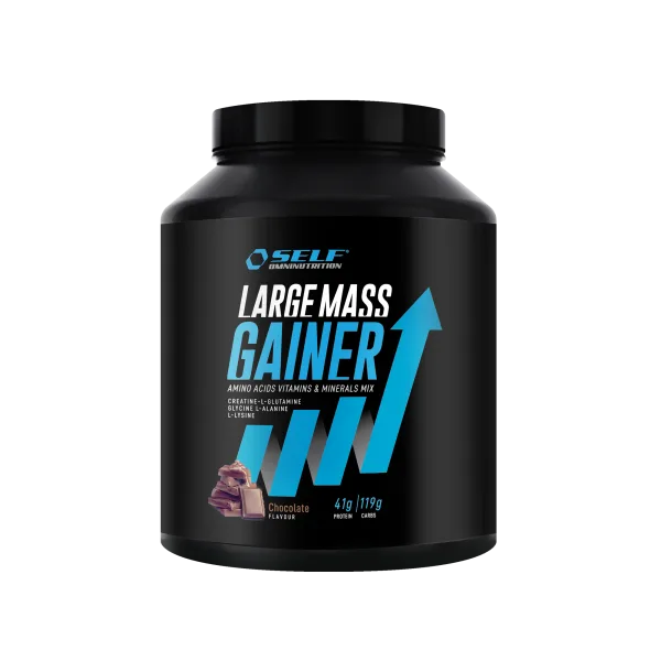 Large Mass Gainer - 2 000 g