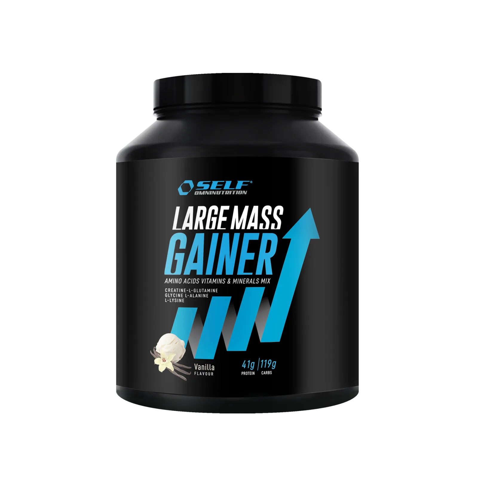 Large Mass Gainer - 2 000 g